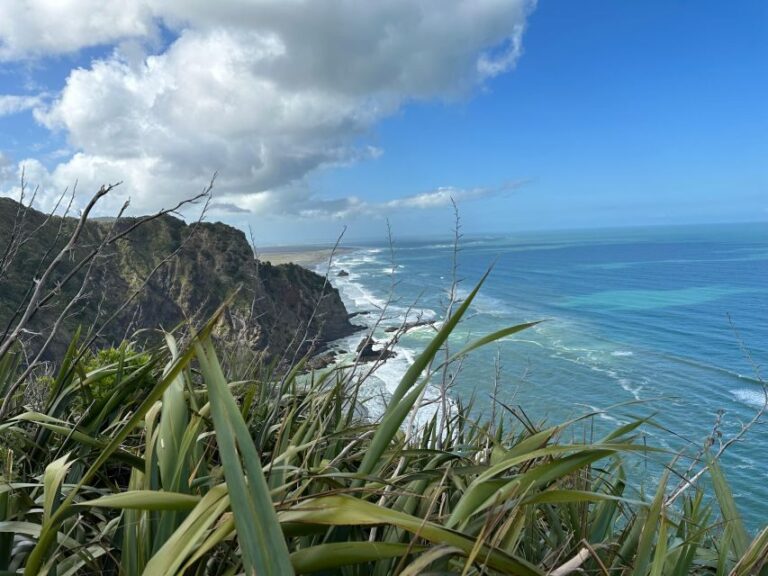 Piha & Karekare - Out of Auckland Private Tour - An In-Depth Look at the Piha & Karekare Private Tour