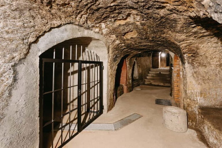 Pilsen: Historic Underground Tour with a Glass of Beer - The Sum Up