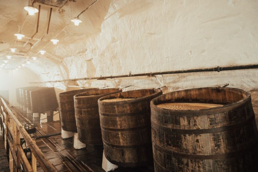 Pilsen: Pilsner Urquell Brewery Tour with Beer Tasting - How the tour feels in practice