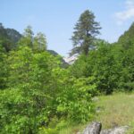 Pindus Mountains: Dragon Lake Full-Day Guided Hike - An In-Depth Look at the Dragon Lake Hike