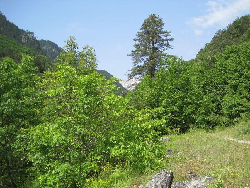 Pindus Mountains: Dragon Lake Full-Day Guided Hike - An In-Depth Look at the Dragon Lake Hike