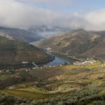 Pinhão: Douro Valley Guided Hike - The Itinerary: A Step-by-Step Breakdown