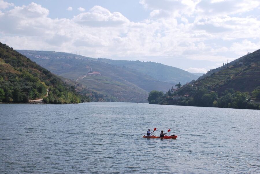 Pinhão: Douro Valley Rabelo Boat Tour and Kayak Experience - A Deep Dive into the Douro Experience