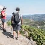 Pinhão Hiking Tour - Frequently Asked Questions