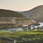 Pinhão: Quinta do Bomfim Visit and Tasting - A Closer Look at the Quinta do Bomfim Experience
