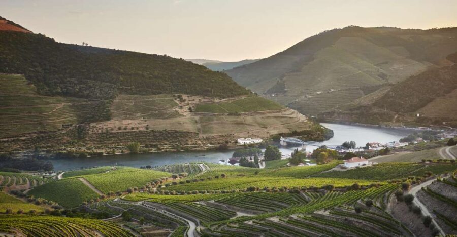 Pinhão: Quinta do Bomfim Visit and Tasting - A Closer Look at the Quinta do Bomfim Experience