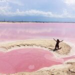 Pink Lake Tour from Las Coloradas with lunch and boat ride - Exploring Ría Lagartos: A Wildlife Wonderland