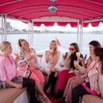 Pink Private Boat Cruise in San Diego! Bachelorette Birthday - Who Will Love This Tour?