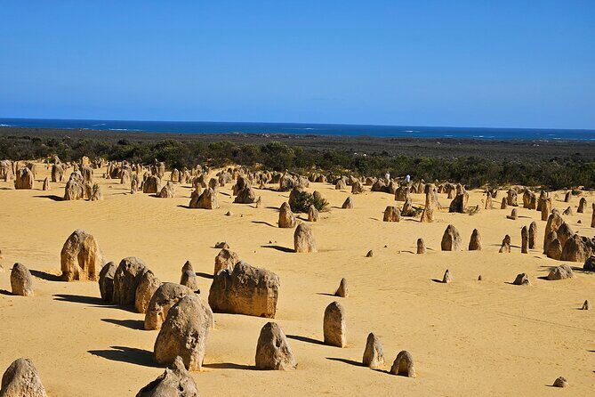 Pinnacle Day Adventure Tour - Key Points