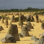 Pinnacles & Rottnest Island Scenic Air & Ground Tour - A Detailed Review of the Pinnacles & Rottnest Island Tour