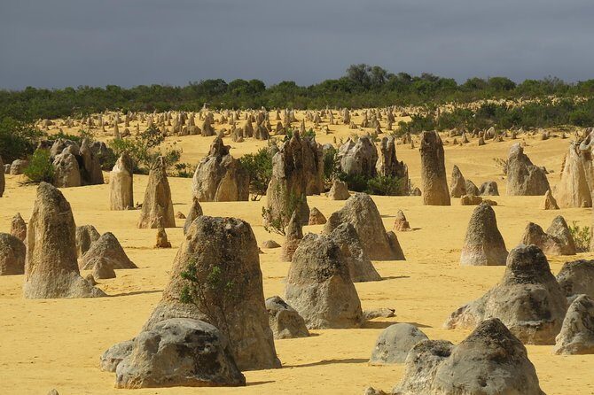 Pinnacles & Rottnest Island Scenic Air & Ground Tour - A Detailed Review of the Pinnacles & Rottnest Island Tour