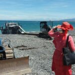 "Pinot to Palliser tour" - Guided tour to Cape Palliser vith lunch + winetasting - The Sum Up