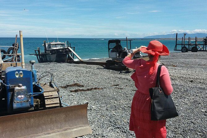 "Pinot to Palliser tour" - Guided tour to Cape Palliser vith lunch + winetasting - The Sum Up