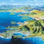 Piran and Scenic Slovenian Coast - Private Tour from Trieste - Who Is This Tour Best For?