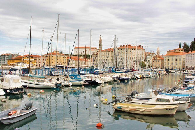 Piran & Panoramic Slovenian Coast - Small Group Tour from Trieste - What Makes This Tour Stand Out