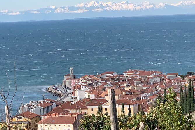 Piran & Panoramic Slovenian Coast Tour (up to 8 persons) - FAQs