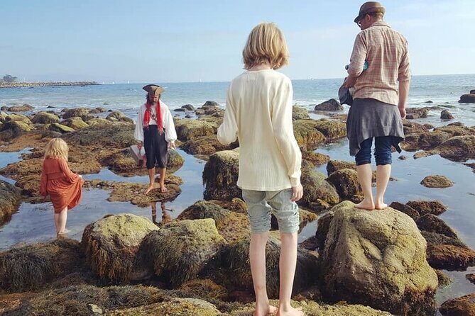 Pirate Sea Cave Tide Pool Walk at Dana Point - The Sum Up