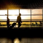 Pisa Airport: Direct Transfer to/from Florence Center - Who Should Consider This Transfer?