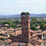 Pisa and Lucca from the Cruise Port of La Spezia - Authentic Experiences and Honest Insights