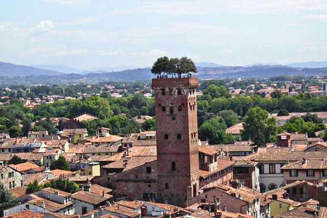 Pisa and Lucca from the Cruise Port of La Spezia - Authentic Experiences and Honest Insights