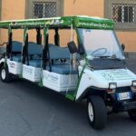 Pisa: Beyond the Tower (1h round-trip tour) - Authentic Experiences and Authentic Insights