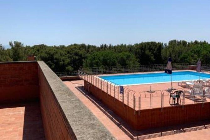 Pisa/Florence Airport Pick-up/Drop-off to Castiglioncello - A Closer Look at the Transfer Experience
