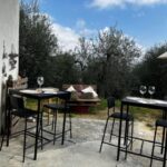Pisa: Winery Tour and Wine Tasting with Local Food Pairing - The Experience: What Makes This Tour Special