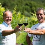 Pisoni: Stories of wine and flavors - A detailed look at the Pisoni wine experience