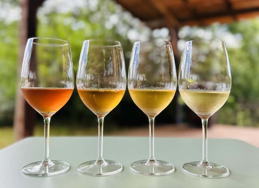 Pitigliano: Ciliegiolo Grape Wine Tasting - FAQs