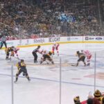 Pittsburgh: Pittsburgh Penguins Ice Hockey Game Ticket - Who Should Consider This Experience?
