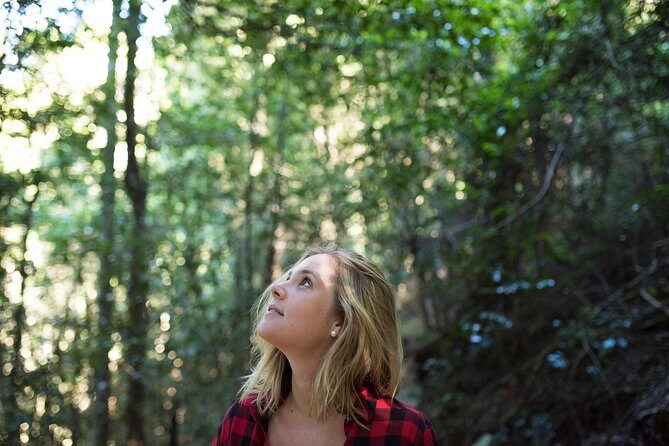 Pittwater Discovery Kayaking Tour - An In-Depth Look at the Pittwater Discovery Kayaking Tour