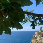 Pizzo Walking Tour, the Jewel of the Tyrrhenean sea - Practical Details: What You Need to Know
