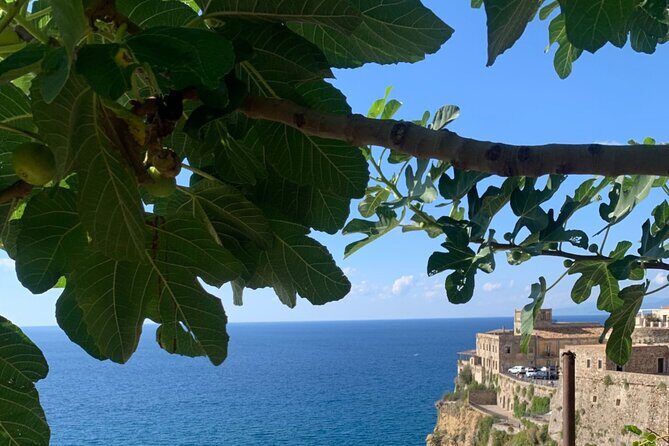Pizzo Walking Tour, the Jewel of the Tyrrhenean sea - Practical Details: What You Need to Know