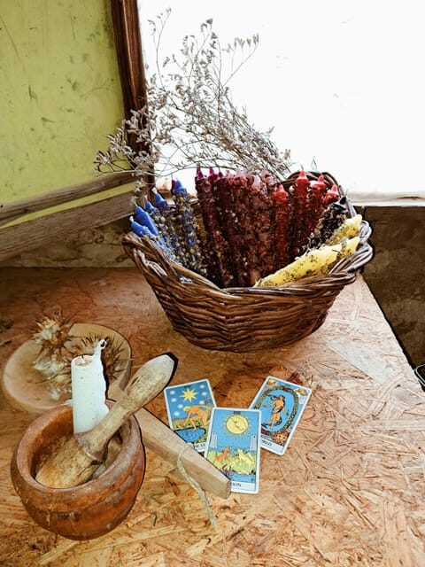 Plants and natural elements for Witchcraft and Tarot - The Sum Up: Is This Experience Right for You?