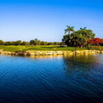 Play Hard Rock Golf Course W/Clubs - Who Would Enjoy This Experience?