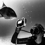 Playa del Carmen: Bull Shark Diving Experience - Who Should Consider This Tour?