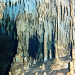 Playa del Carmen: Cenote Diving Experience - Who Should Consider This Tour?