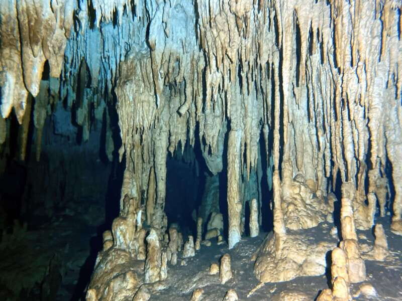 Playa del Carmen: Cenote Diving Experience - Who Should Consider This Tour?