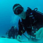 Playa del Carmen: Cenote Diving for Certified Divers - The Sum Up