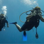 Playa del Carmen: Discover Scuba Diving - What to Expect from the Playa del Carmen Discover Scuba Tour