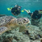Playa del Carmen: Discover the Surreal World of Scuba Diving - Final Thoughts