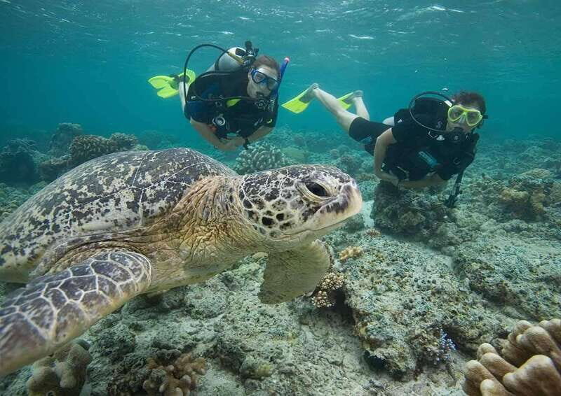Playa del Carmen: Discover the Surreal World of Scuba Diving - Final Thoughts
