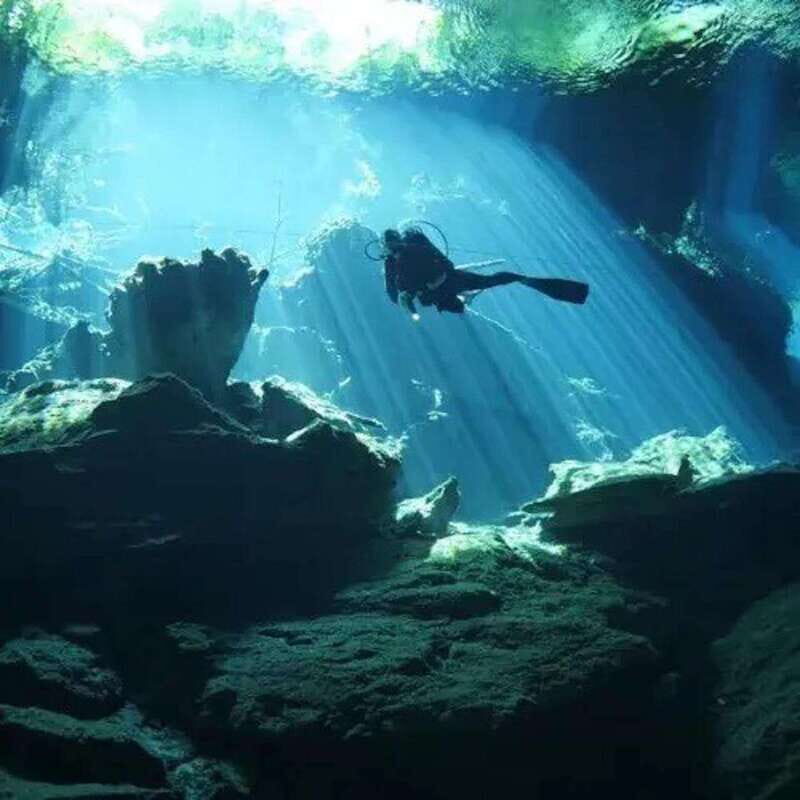 Playa del Carmen: Diving at Cenote Dos Ojos - Who This Tour Is Best For