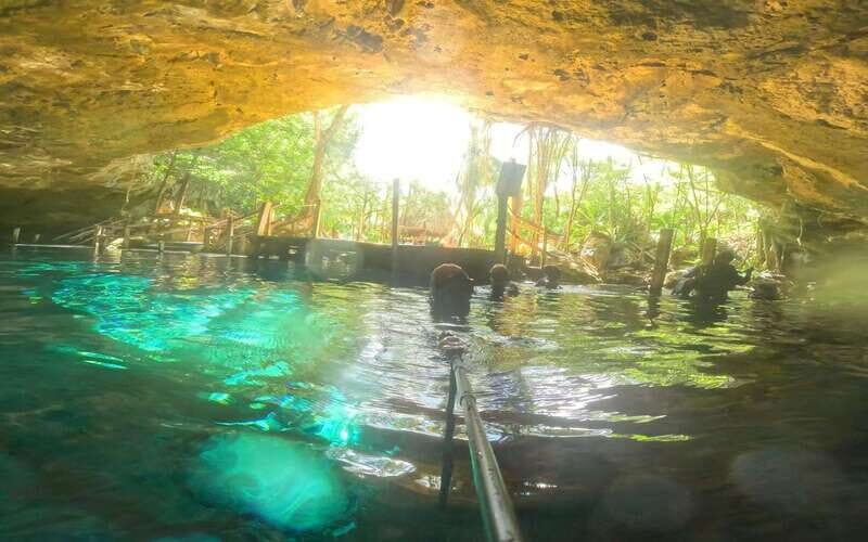 Playa del Carmen: Dos Ojos Cenote 2 scuba dives without tran - Who Will Enjoy This Experience?