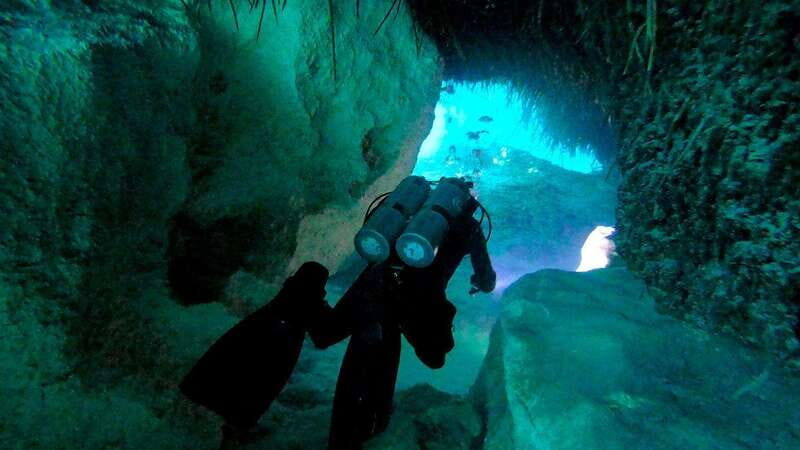 Playa del Carmen: Dual Realm Diving (Cenote + Reef Diving) - Who should consider this tour?