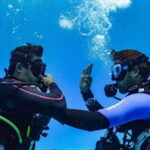 Playa del Carmen: Fun Dive Experience for Certified Divers - Frequently Asked Questions