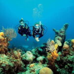 Playa del Carmen: PADI Advance Open Water in Riviera Maya - What Makes This Experience Stand Out?