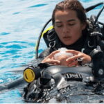 Playa del Carmen: Rescue Diver Course - An In-Depth Look at the Rescue Diver Course in Playa del Carmen