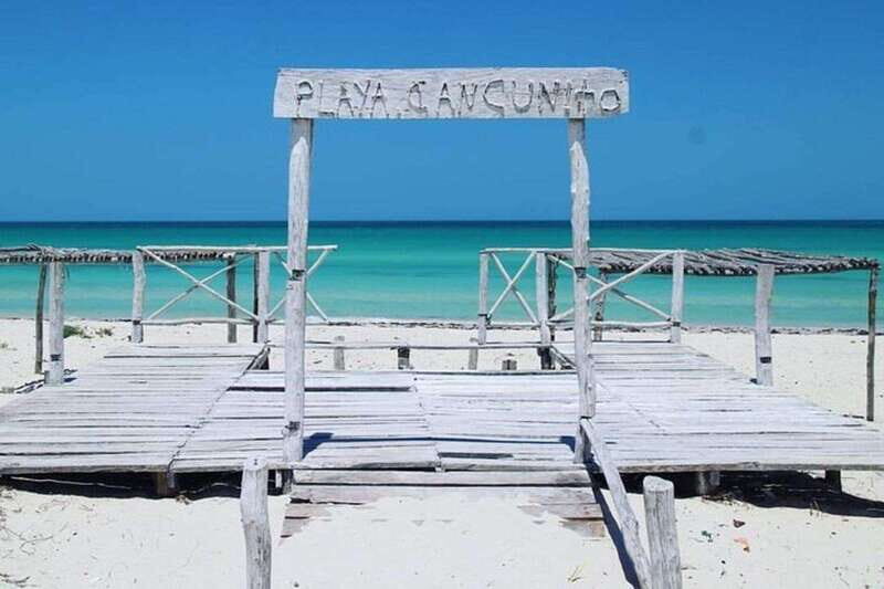 Playa del Carmen: Rio Lagartos and Las Coloradas Tour - What’s Worth Noting?