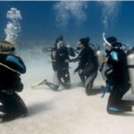 Playa del Carmen: Scuba Diver Certification Course - Final Thoughts